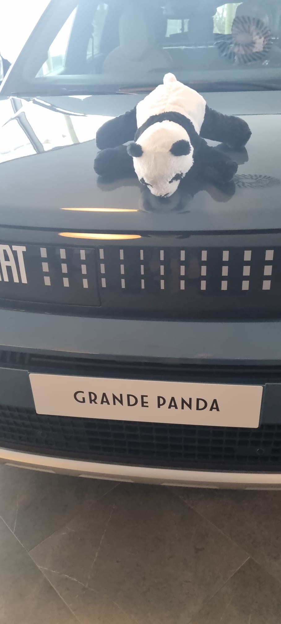 Fiat Grande Panda